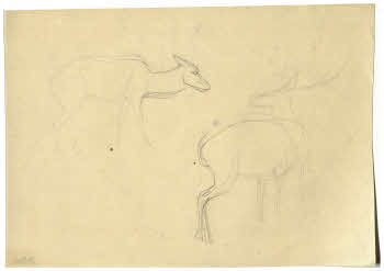 Visualizza l'immagine "FD D 164"